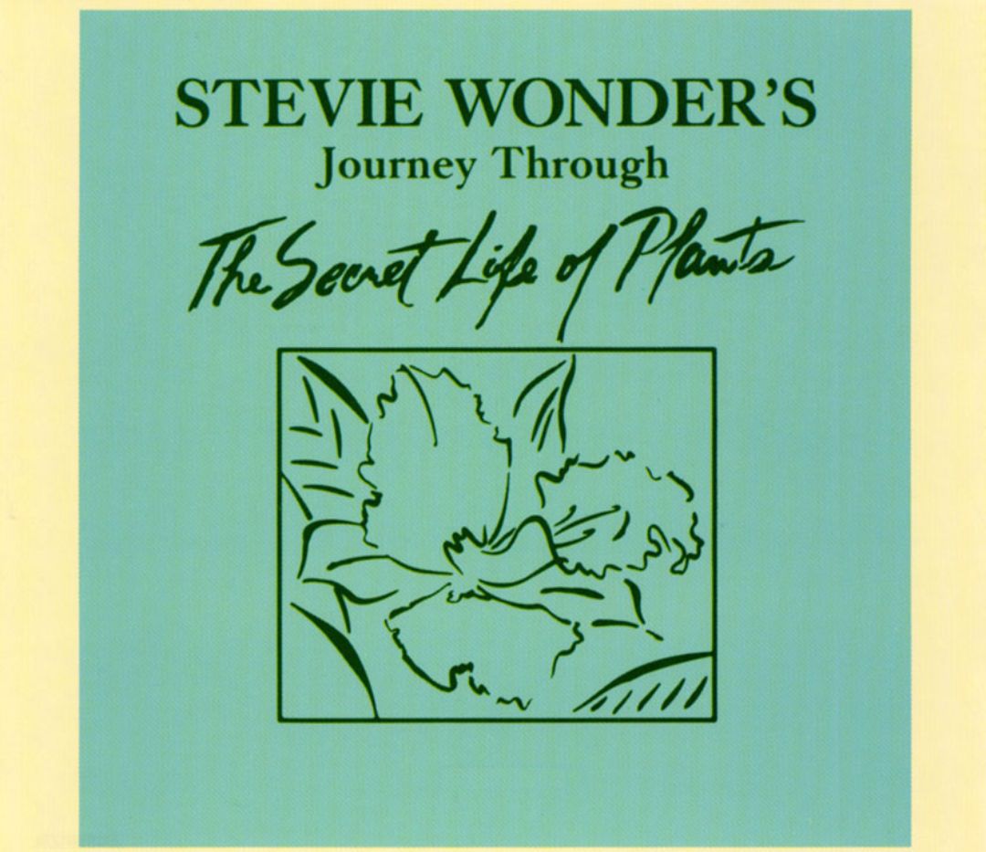 Stevie Wonder's Journey Through 'The Secret Life Of Plants'  - Album Cover